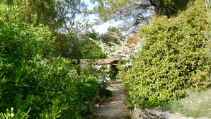 A stone pathway leading through a garden with dense greenery and a rustic building in the background. - Sous L'olivier Avec Piscine Privative (Buisson)