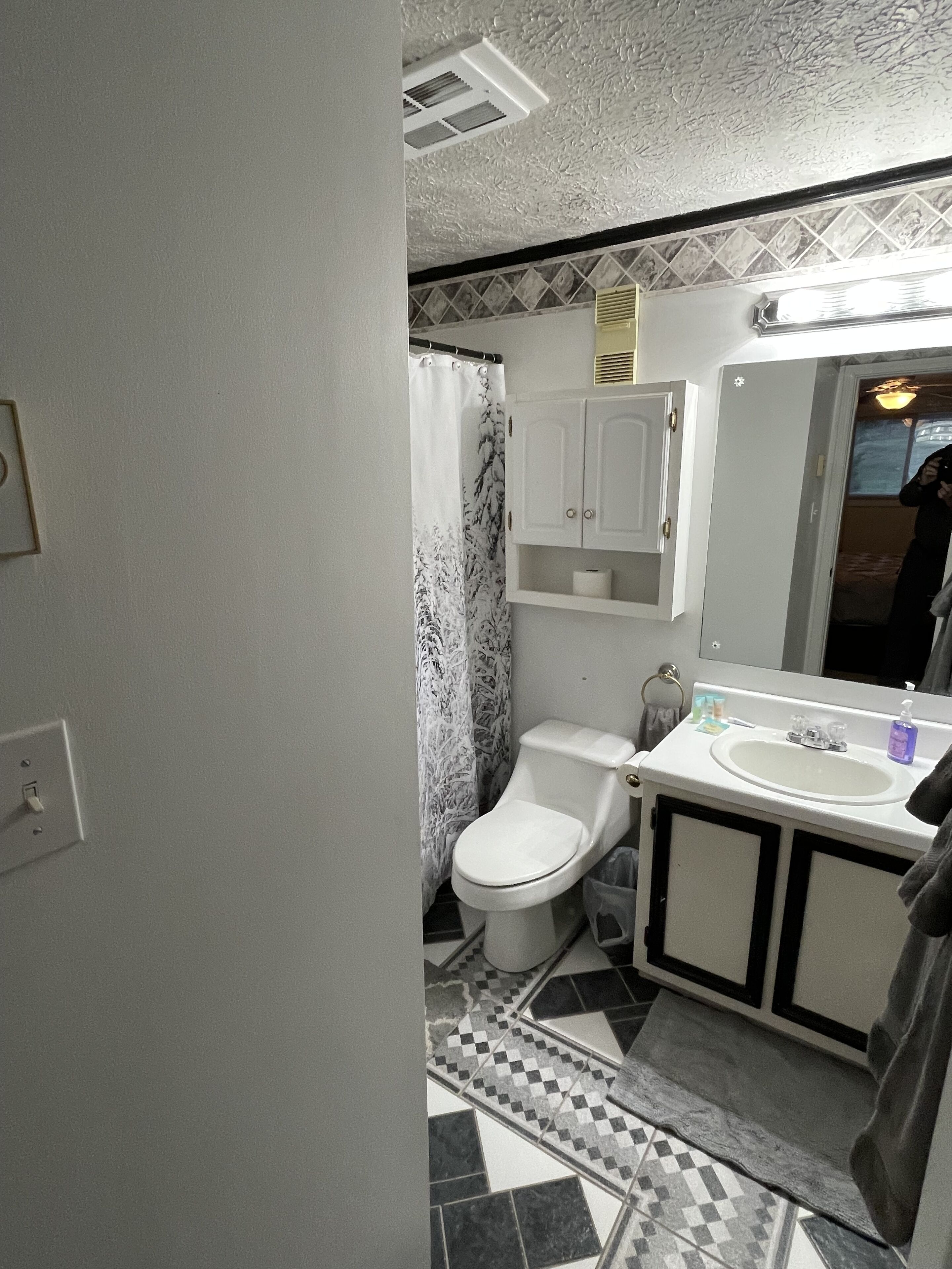 Hair dryer, towels, soap, shampoo