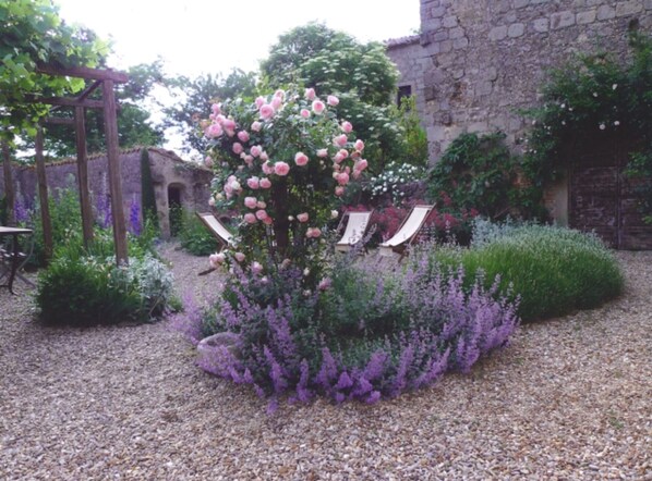 A garden with a pergola, a rose bush, and a stone wall.