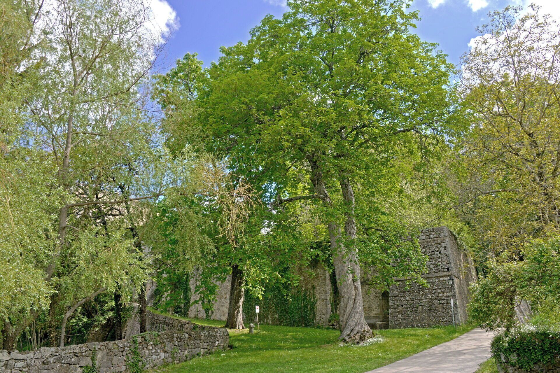 A stone building with a pathway leading to it, surrounded by lush green trees.