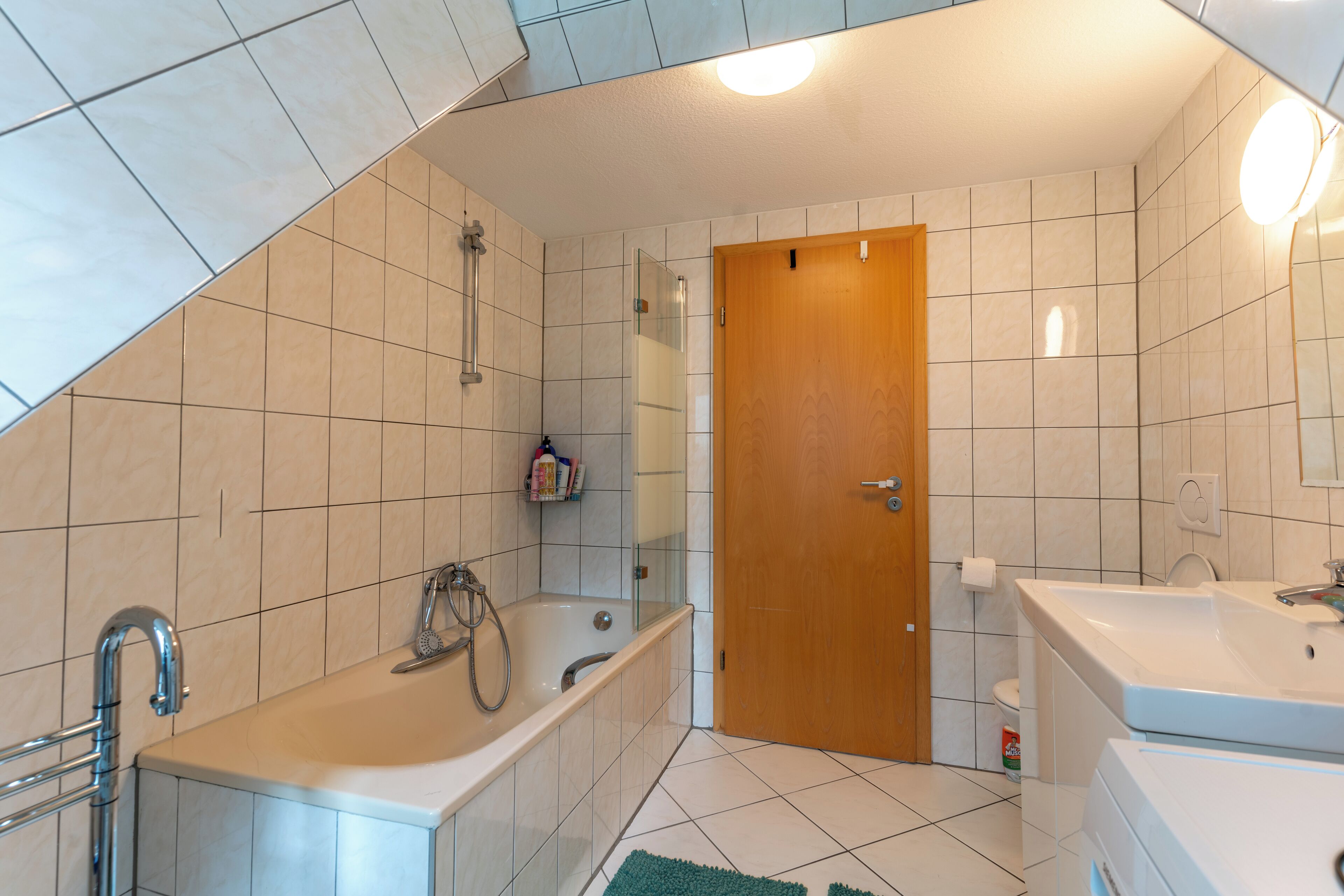 Asciugacapelli, asciugamani, sapone, shampoo