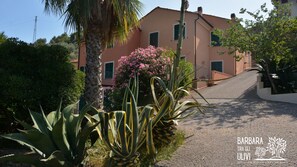 Property grounds - BARBARA TRA GLI ULIVI - An oasis of peace for a holiday dedicated to good living (Diano Arentino)