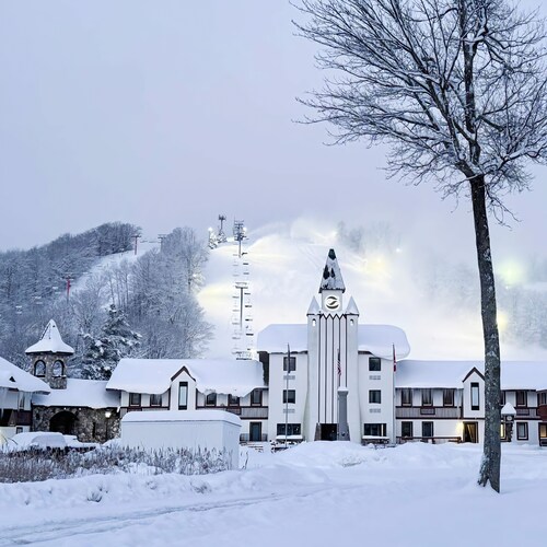Schuss Village=COZY condo, sleeps 4.  Close to LAKES, golf, pools, boat parking