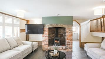 TV, fireplace