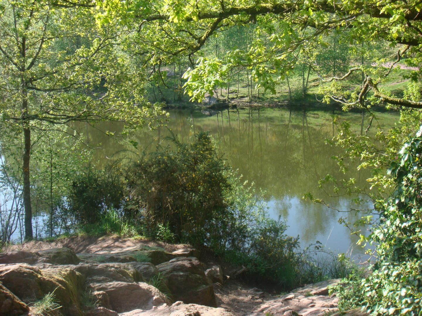 A natural landscape with a pond surrounded by trees and rocks.