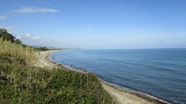 Eine Küstenstraße mit Sandstrand und Grasflächen.