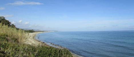 Playa en los alrededores y pesca