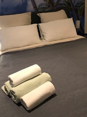 1 chambre, bureau, fer et planche à repasser, Wi-Fi gratuit