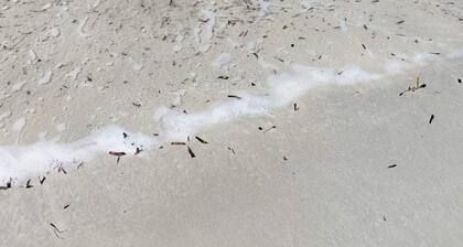 2 Bedroom Private vacation home in Putzu Idu