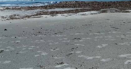 2 Bedroom Private vacation home in Putzu Idu