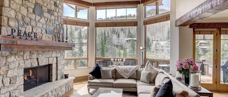 Tv, pejs, dvd-afspiller