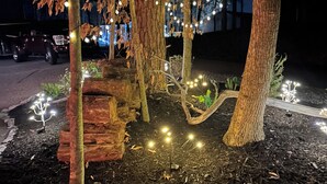 A nighttime outdoor area with trees, string lights, and a bench. - Harbor Hideway is a cozy, romantic gem minutes away from Jamestown Marina! (Jamestown)