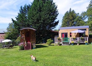 A small wooden cabin with a red door and a porch, surrounded by a well-maintained lawn and tall trees.