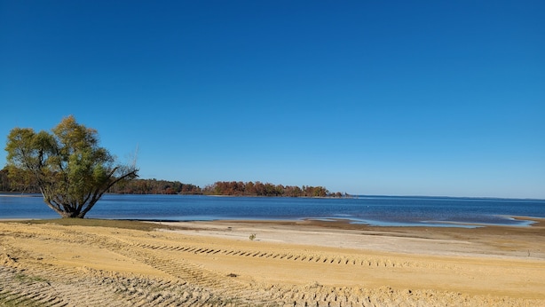 Ein Strand mit einer einzelnen Palme, blauem Himmel und ruhigem Wasser.