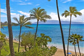 A beach with palm trees and a clear view of the ocean.