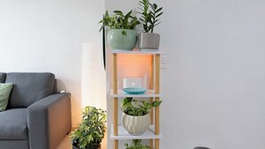 A living room with a grey sofa, a white wall, a wooden plant stand with multiple shelves, and a white speaker. - Apartment with parking in Tlaquepaque Pueblo Mágico (Guadalajara)