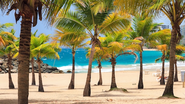 Una playa con palmeras y un mar azul cristalino.