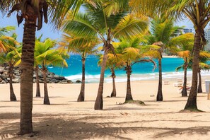 Een strand met palmbomen en een heldere blauwe zee.
