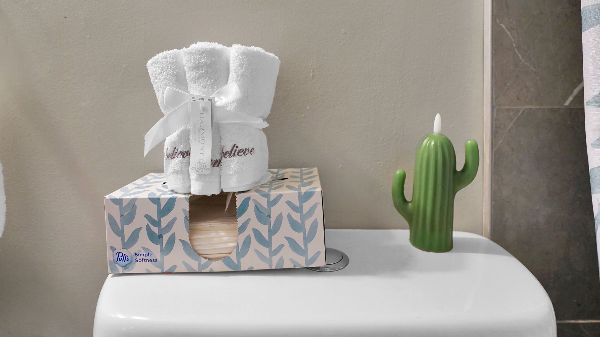 Eine Toilette mit einer Taschentuchbox und einer Kakteendeko.