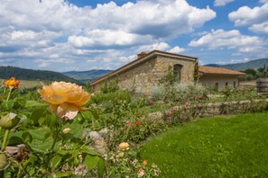Detalle exterior