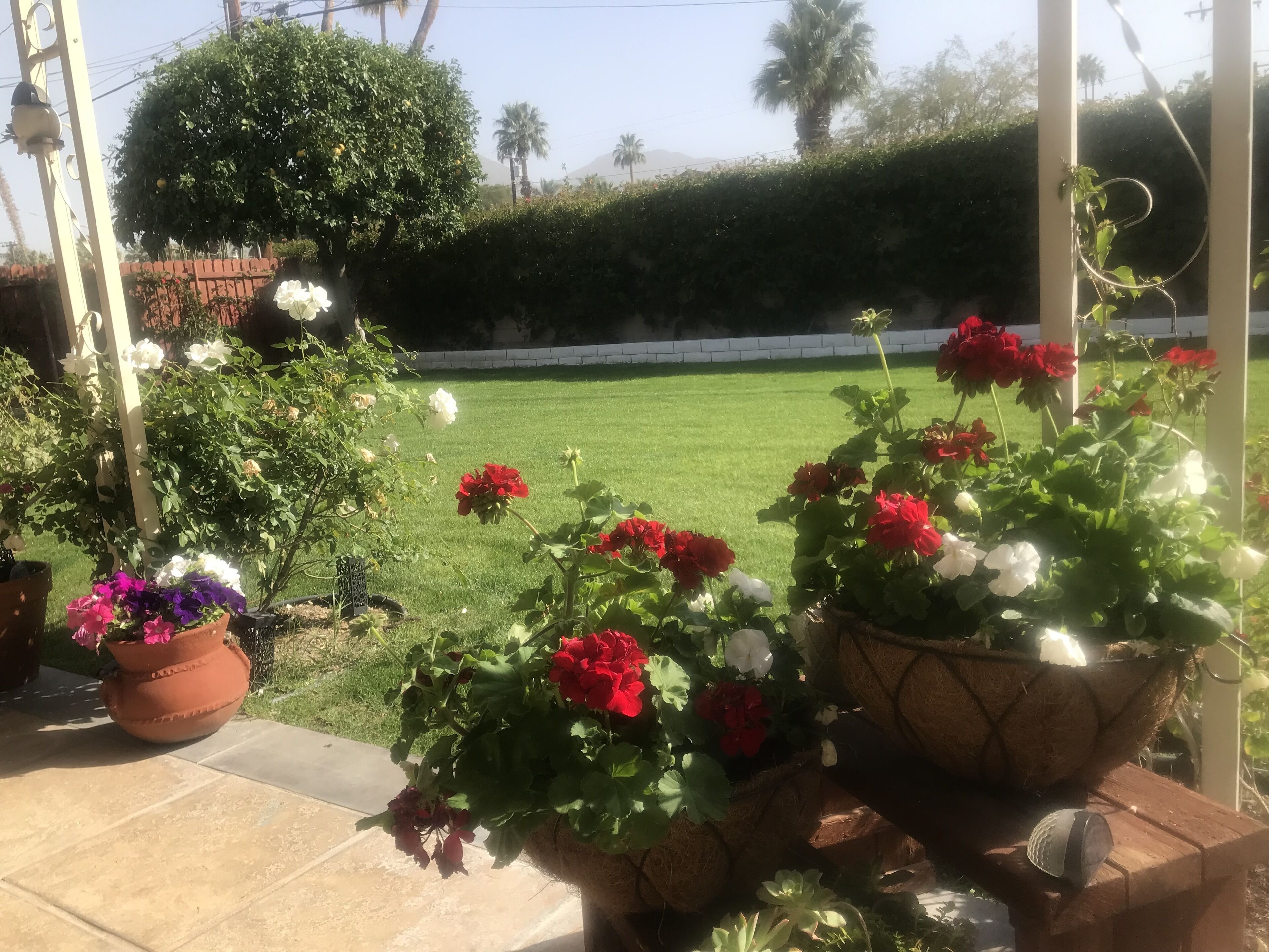 Charming remodeled home in a quiet and lovely South Palm Desert neighborhood.
