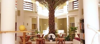 Apt. in Estoril, Boa Vista, Sal Rei, Cape Verde just 75 meters from the beach.