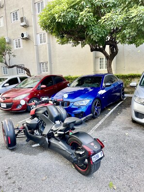 Property grounds - Nice family friendly apt very central location in the city (Kingston)