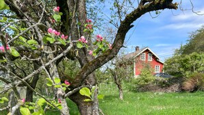 A red house with a sloped roof, surrounded by a grassy area and trees with pink flowers. - 3 bedroom beautiful home in Vik i sogn (Vik i sogn)
