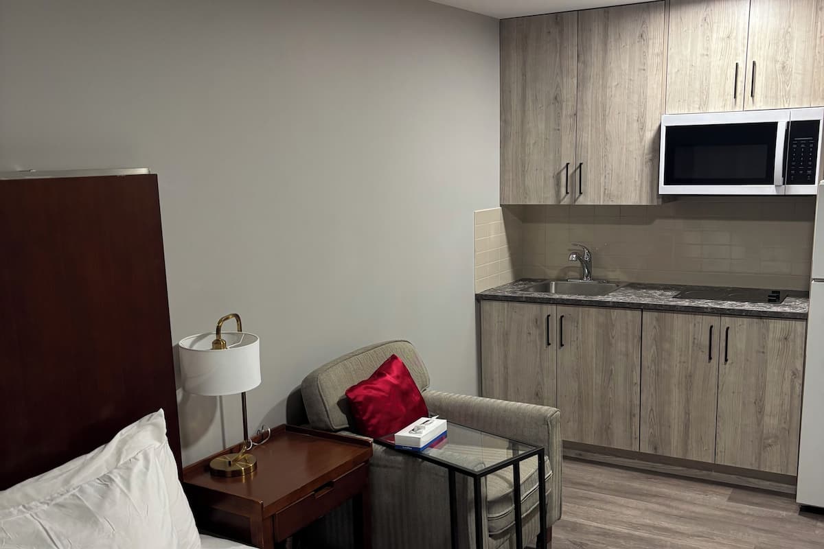 Deluxe Single Room | Iron/ironing board (on request), WiFi (free), bed sheets