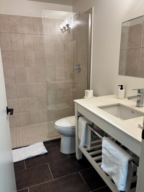 A modern bathroom with a glass shower enclosure, a toilet, a sink with a mirror, and a towel rack. - Bethel Hotel Elk Point (Elk Point)