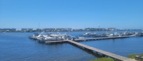 Marina