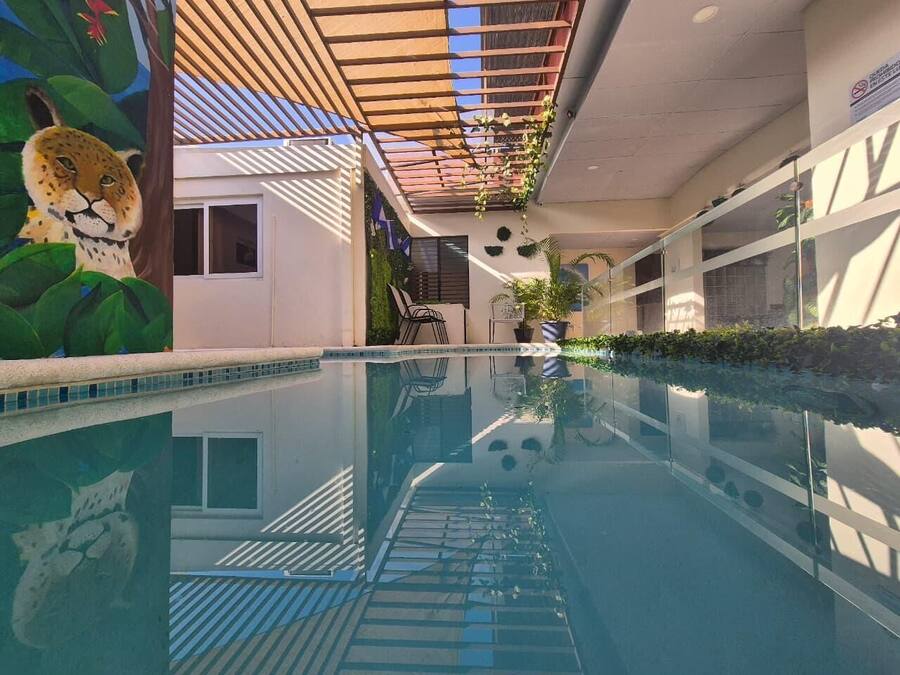 Piscina interna con un murale a forma di leopardo, ringhiera in vetro e pergolato con piante.