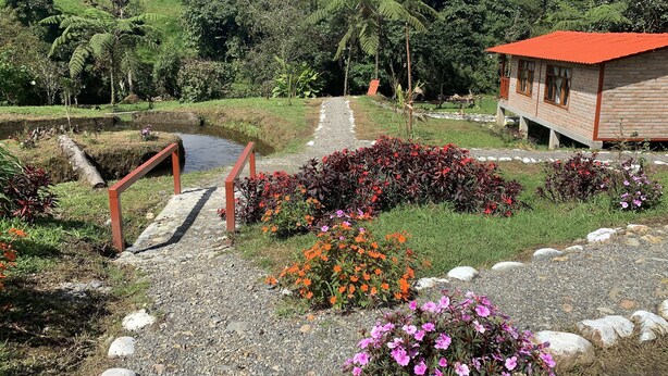 A rustic wooden house with a red roof, surrounded by a garden with various flowers and a small water channel. - Quindanna  (Cosanga)
