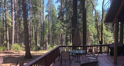 Escape to Big Trees Cabin: Your Serene Retreat Amidst Nature's Splendor.