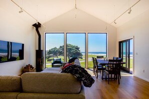 Smart TV, fireplace, books