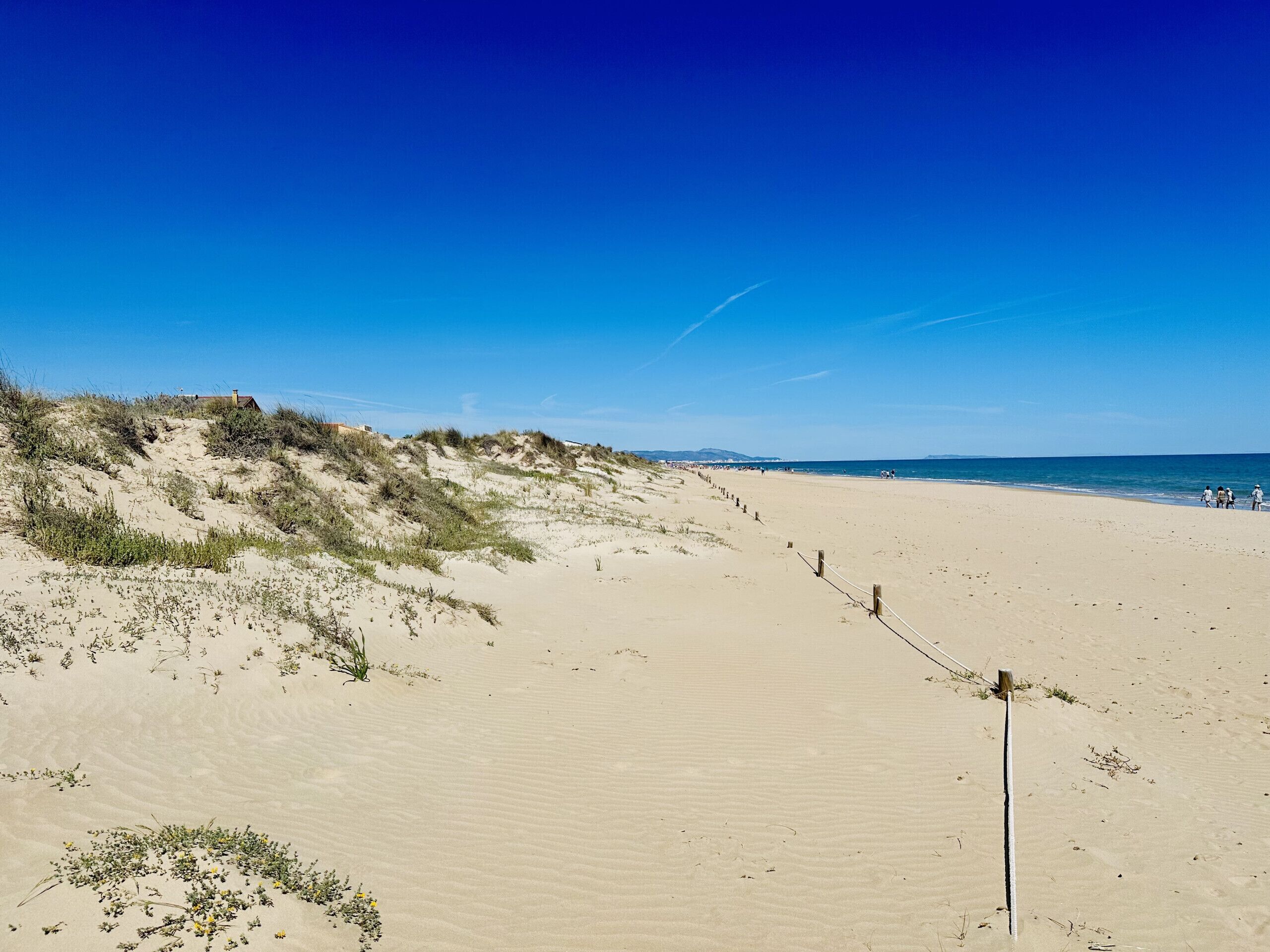 Une plage de sable avec des dunes et un ciel bleu clair.