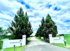 Property grounds - No. 4 Beautiful Yarra Valley 3 Bedroom Retro Styled Event Accommodation 6 Adults (Healesville)