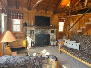 Smart TV, fireplace, DVD player