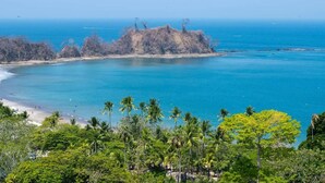 A coastal landscape with a beach, palm trees, and rocky outcrops. - Great Apartment Punta Esmeralda (Puntarenas Province)