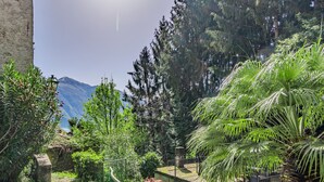 Un jardin avec un sentier en pierre, différentes plantes et une vue sur une montagne.