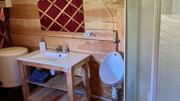 Douche, savon, shampoing, papier toilette