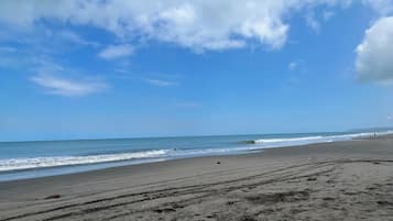 Beach nearby, sun-loungers