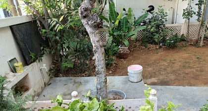 Vishal Villa, A familiar house to stay in vacation in Jaipur, India.