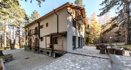 Luxury chalet within a private pine tree park, in Pirin mountain foothstep