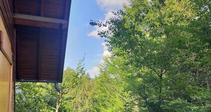 Le Chalet à Saint Anthème Prabouré