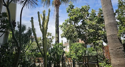 STAY Cactus House