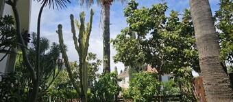 122 VOR - STAY Cactus House