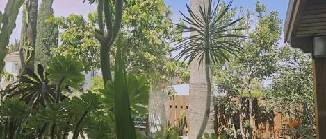 Àrea exterior de l'allotjament