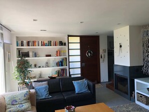 Smart TV, fireplace, books