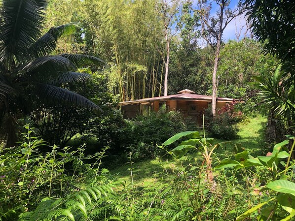 Property grounds - The Rose Cottage (Pahoa)